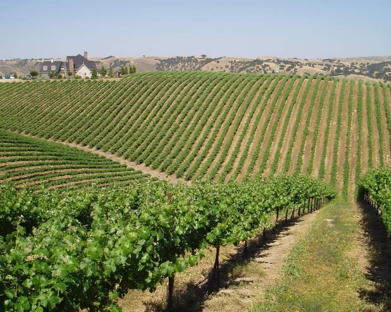 wine-page-sustainable_fo9fyn