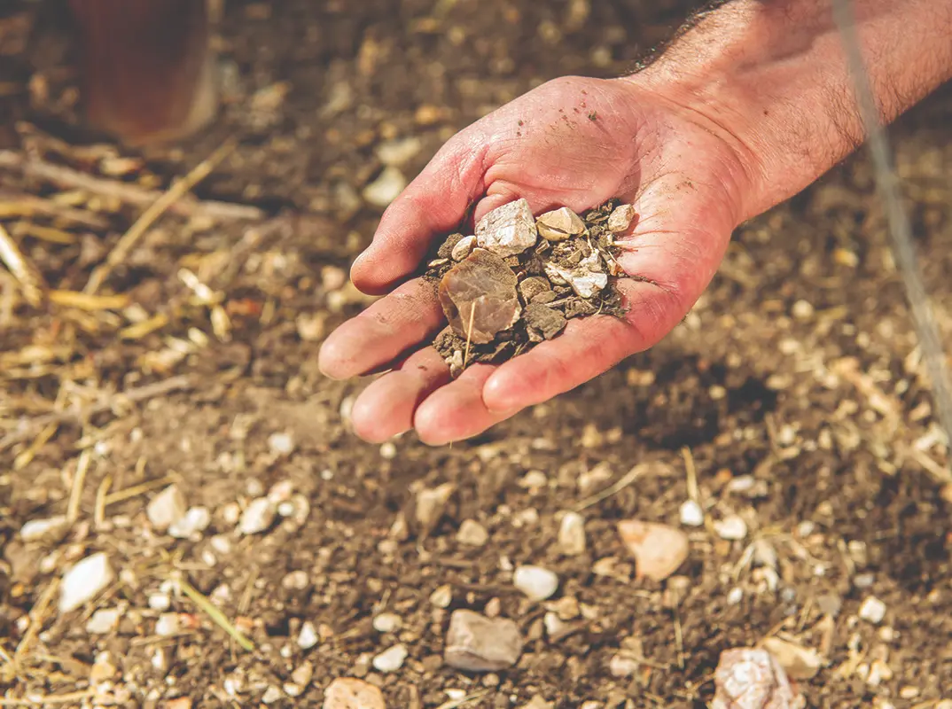 Calcarous Soils